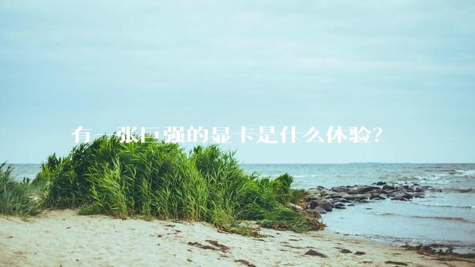 有一张巨强的显卡是什么体验？
