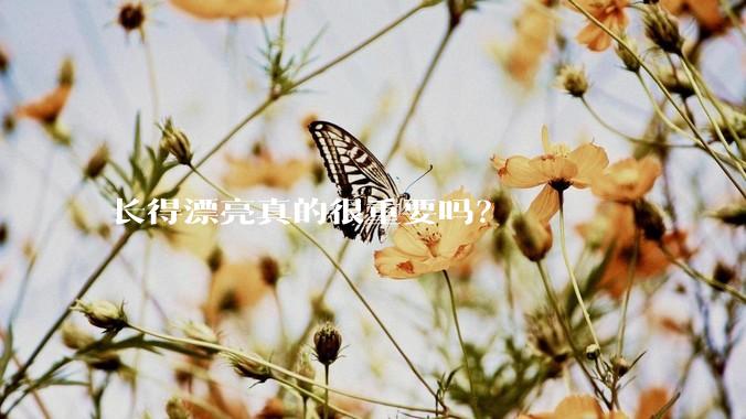 长得漂亮真的很重要吗？