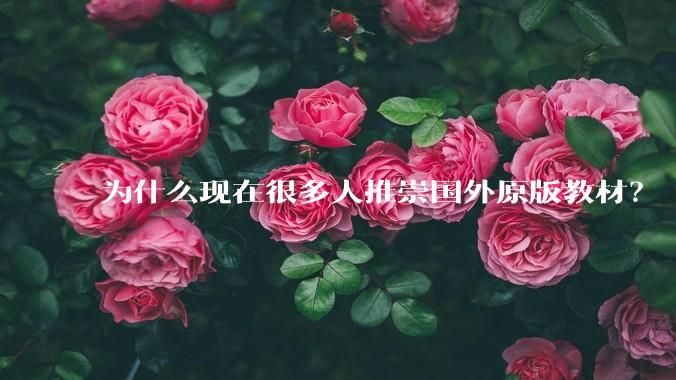 为什么现在很多人推崇国外原版教材？